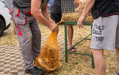 Slepice, které prodejce dává zákazníkovi do pytlů od brambor - Nevinné oběti